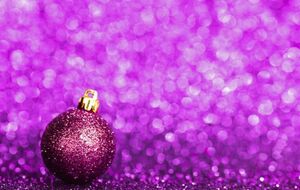 Le club fait une petite pause pour Noël. Rendez-vous après les fêtes !